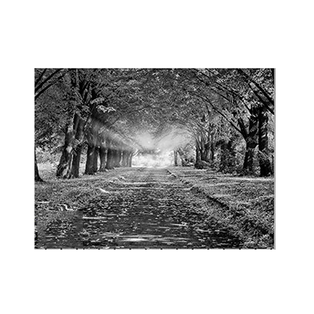 Пейзаж на обратной стороне памятника 27
